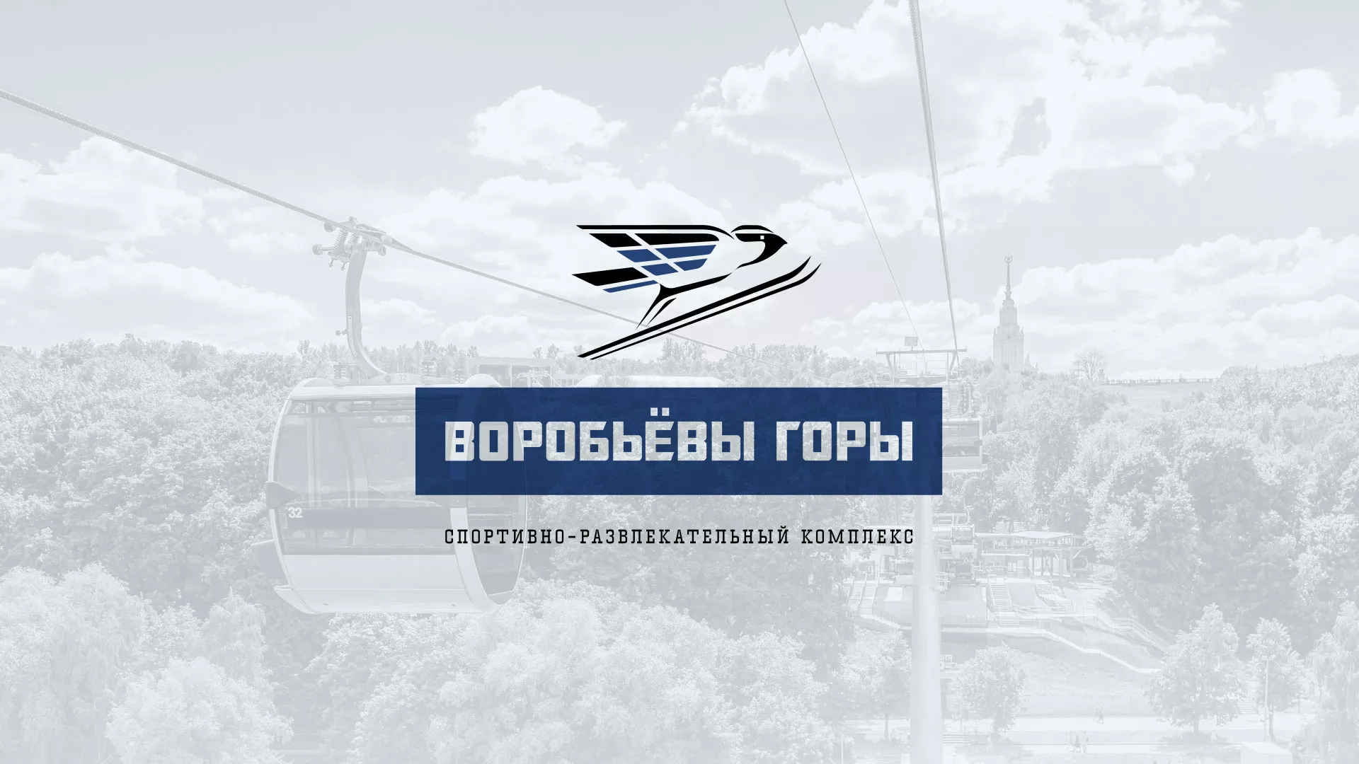Разработка сайта в Домодедово для спортивно-развлекательного комплекса «Воробьёвы горы»