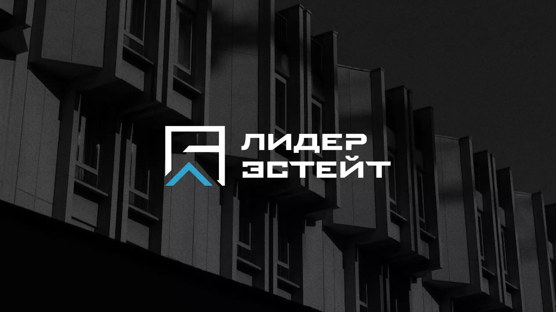 Разработка логотипа агентства недвижимости «Лидер Эстейт» в Домодедово