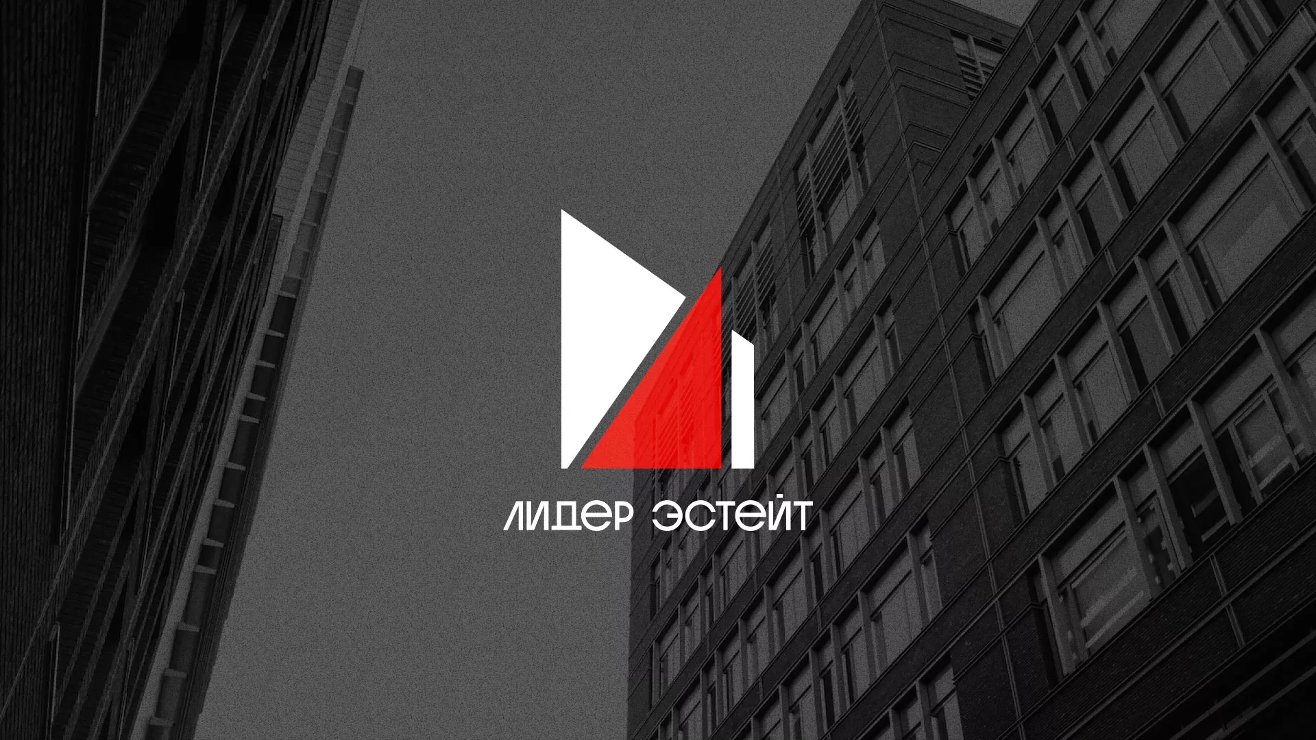 Сделали логотип для агентства недвижимости «Лидер Эстейт» в Домодедово